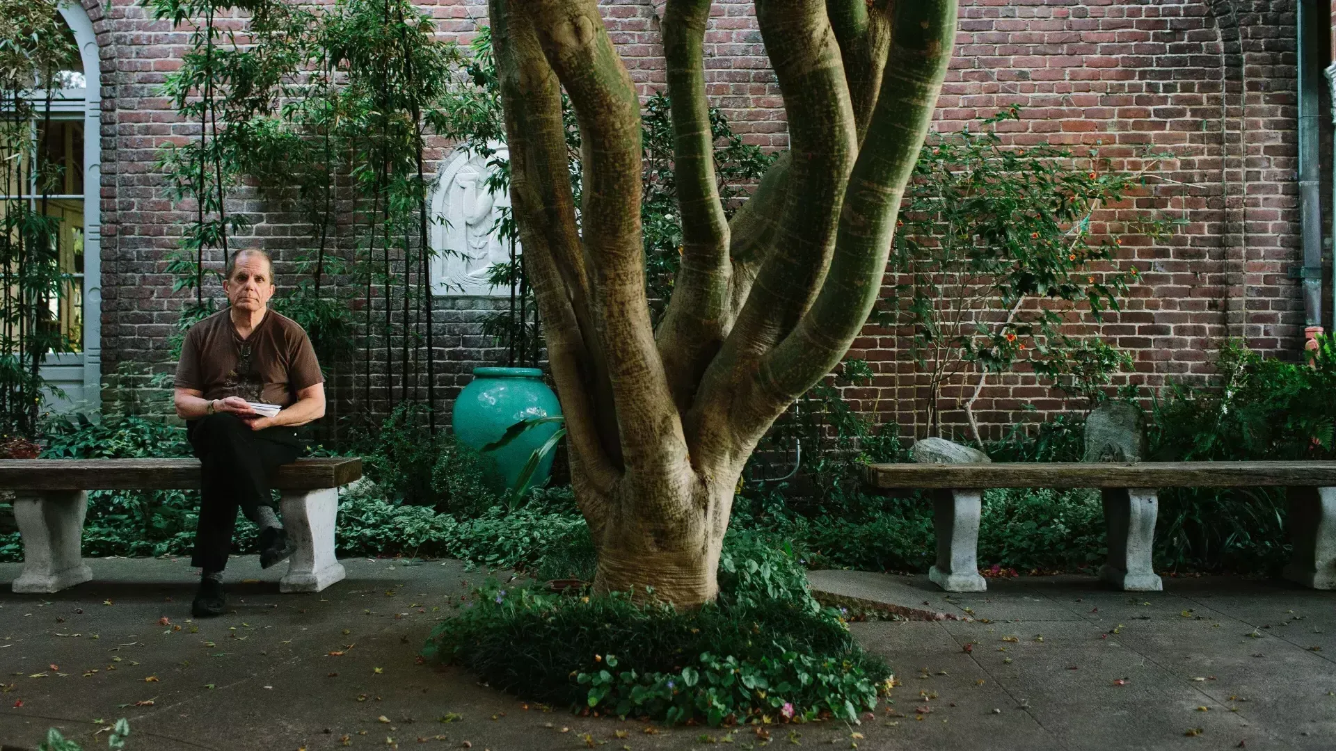 Dennis McNally sentado junto a un árbol