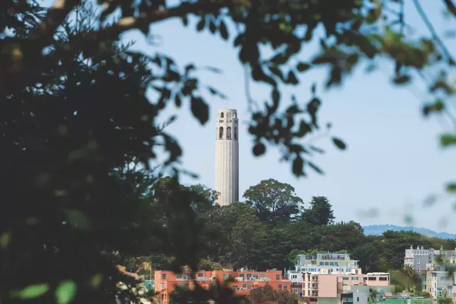 贝博体彩app's 屁股Tower, framed by trees in the foreground.