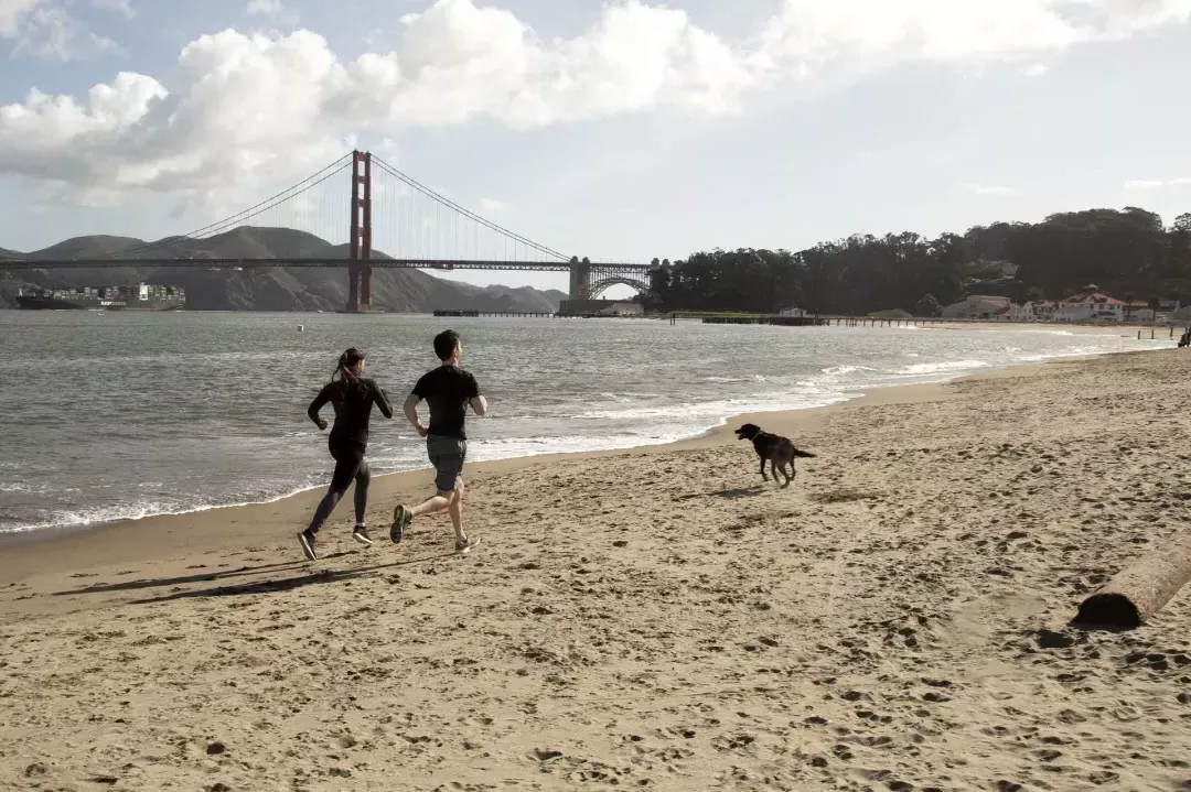 Casal com um cachorro correndo em Field