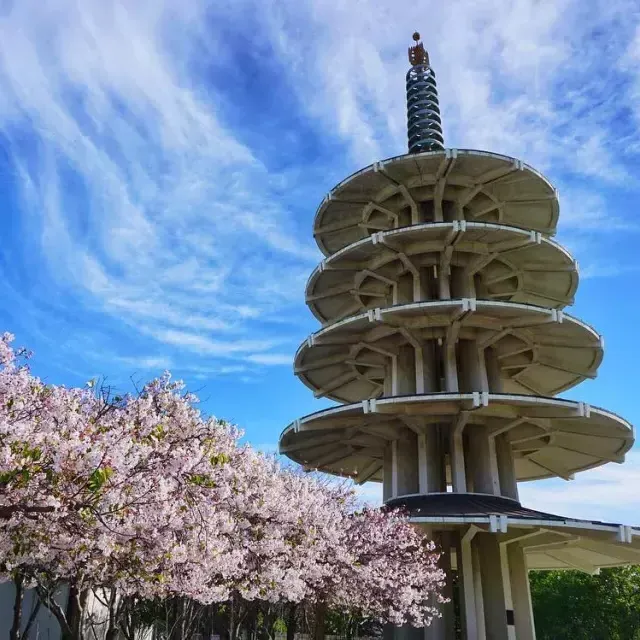 日本城的和平之塔